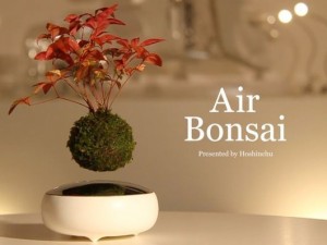 Air Bonsai（エア盆栽）