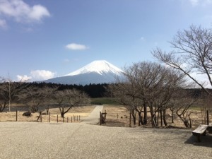 道の駅からの景色